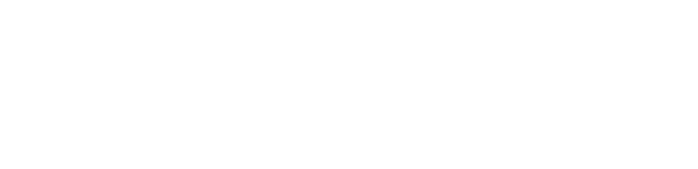 reportVIZ