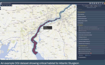 Congratulations to Maritime Exchange on the Launch of the DGI System